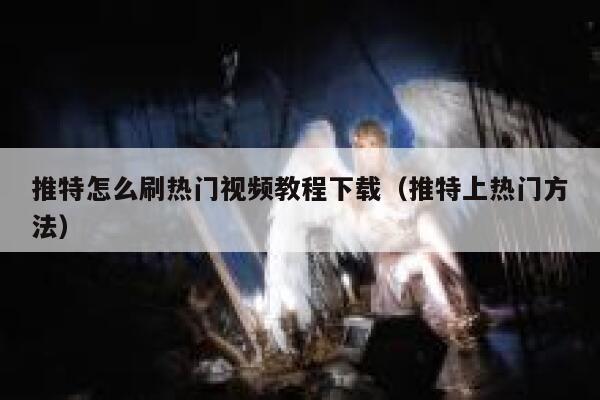 推特怎么刷热门视频教程下载（推特上热门方法） 第1张