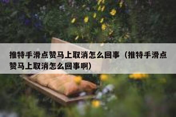 推特手滑点赞马上取消怎么回事（推特手滑点赞马上取消怎么回事啊） 第1张