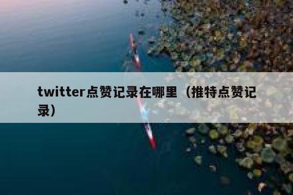 twitter点赞记录在哪里（推特点赞记录） 第1张