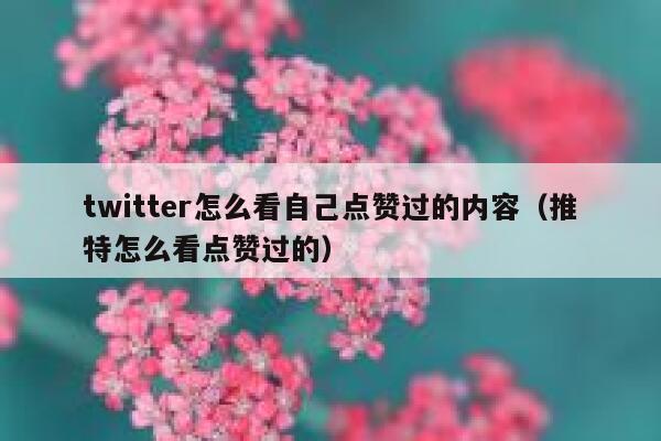 twitter怎么看自己点赞过的内容(推特怎么看点赞过的) 第1张 twitter怎么看自己点赞过的内容(推特怎么看点赞过的) 第1张