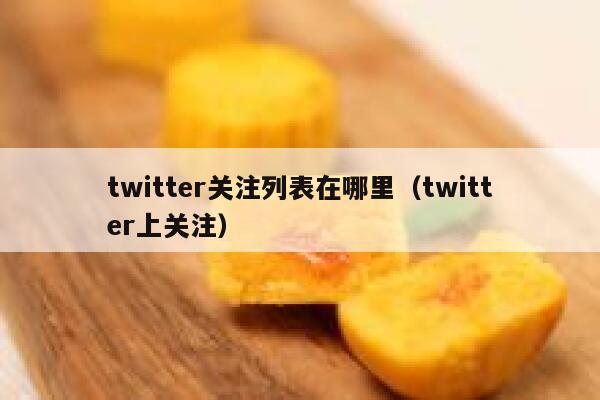 twitter关注列表在哪里(twitter上关注) 第1张 twitter关注列表在哪里(twitter上关注) 第1张