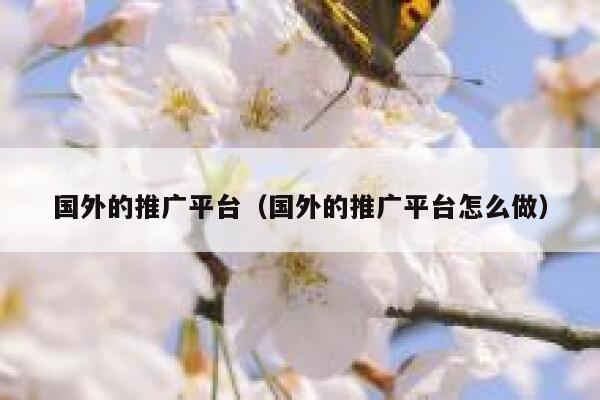国外的推广平台(国外的推广平台怎么做) 第1张 国外的推广平台(国外的推广平台怎么做) 第1张