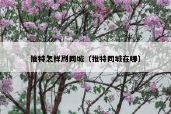 推特怎样刷同城(推特同城在哪) 第1张 推特怎样刷同城(推特同城在哪) 第1张