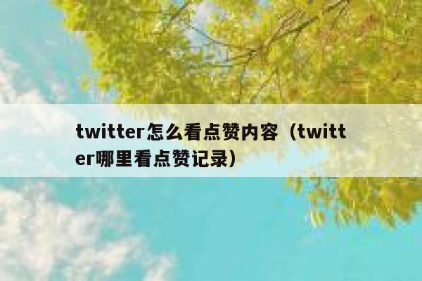 twitter怎么看点赞内容（twitter哪里看点赞记录） 第1张