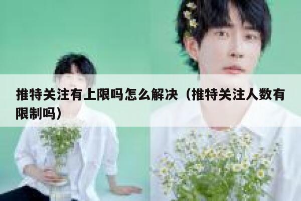 推特关注有上限吗怎么解决(推特关注人数有限制吗) 第1张 推特关注有上限吗怎么解决(推特关注人数有限制吗) 第1张