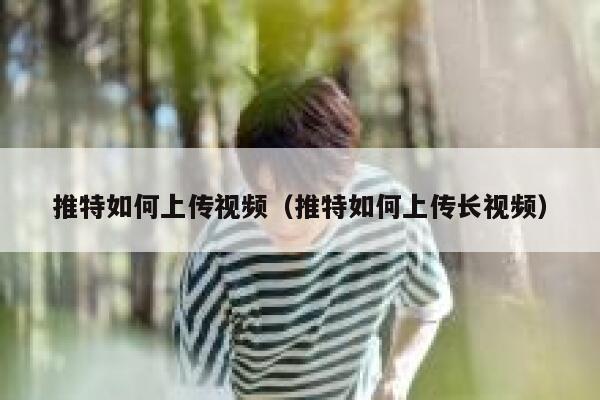 推特如何上传视频（推特如何上传长视频） 第1张