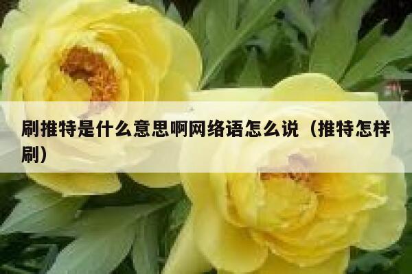 刷推特是什么意思啊网络语怎么说(推特怎样刷) 第1张 刷推特是什么意思啊网络语怎么说(推特怎样刷) 第1张