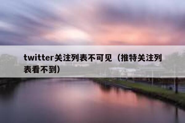 twitter关注列表不可见(推特关注列表看不到) 第1张 twitter关注列表不可见(推特关注列表看不到) 第1张