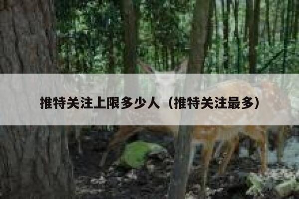 推特关注上限多少人（推特关注最多） 第1张