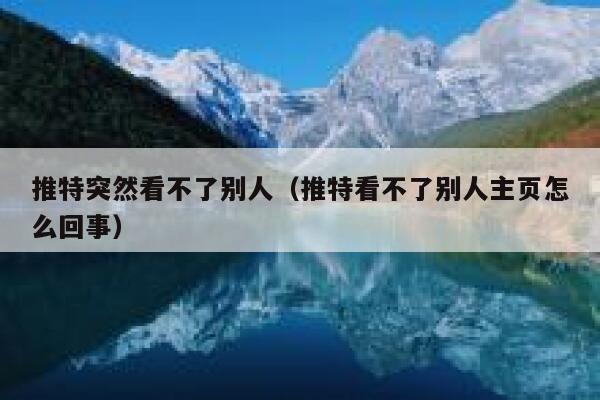 推特突然看不了别人（推特看不了别人主页怎么回事） 第1张
