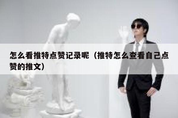 怎么看推特点赞记录呢(推特怎么查看自己点赞的推文) 第1张 怎么看推特点赞记录呢(推特怎么查看自己点赞的推文) 第1张