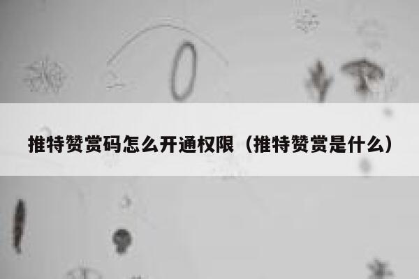 推特赞赏码怎么开通权限(推特赞赏是什么) 第1张 推特赞赏码怎么开通权限(推特赞赏是什么) 第1张