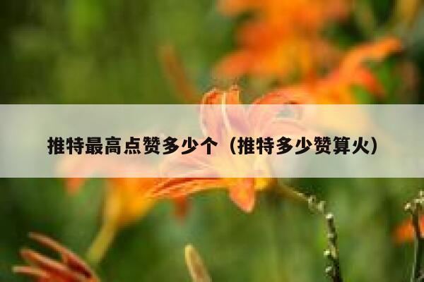 推特最高点赞多少个(推特多少赞算火) 第1张 推特最高点赞多少个(推特多少赞算火) 第1张