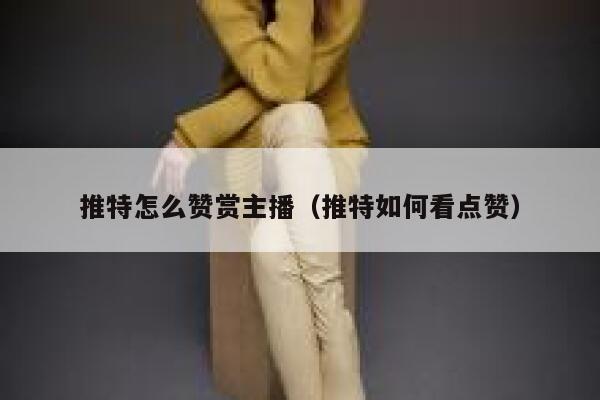 推特怎么赞赏主播(推特如何看点赞) 第1张 推特怎么赞赏主播(推特如何看点赞) 第1张