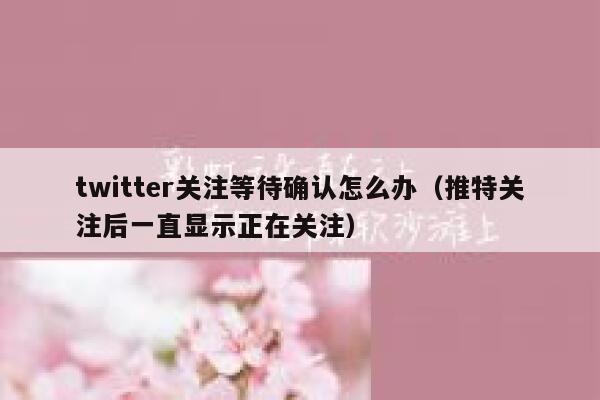 twitter关注等待确认怎么办(推特关注后一直显示正在关注) 第1张 twitter关注等待确认怎么办(推特关注后一直显示正在关注) 第1张