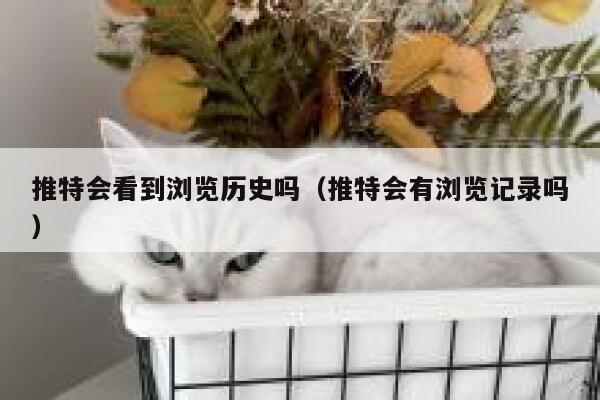 推特会看到浏览历史吗(推特会有浏览记录吗) 第1张 推特会看到浏览历史吗(推特会有浏览记录吗) 第1张