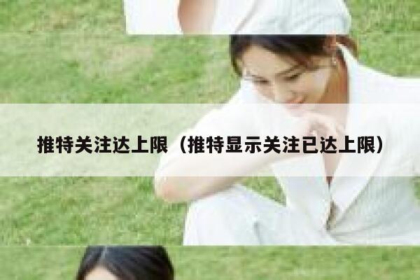 推特关注达上限（推特显示关注已达上限） 第1张