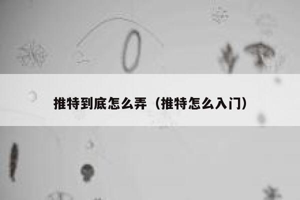 推特到底怎么弄(推特怎么入门) 第1张 推特到底怎么弄(推特怎么入门) 第1张