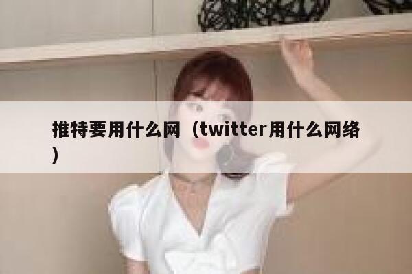 推特要用什么网(twitter用什么网络) 第1张 推特要用什么网(twitter用什么网络) 第1张