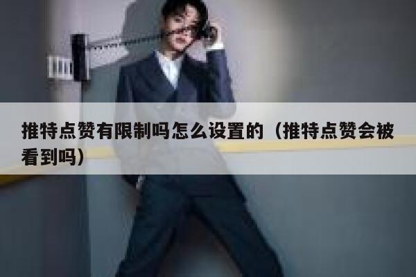 推特点赞有限制吗怎么设置的(推特点赞会被看到吗) 第1张 推特点赞有限制吗怎么设置的(推特点赞会被看到吗) 第1张