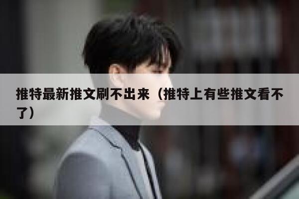 推特最新推文刷不出来（推特上有些推文看不了） 第1张