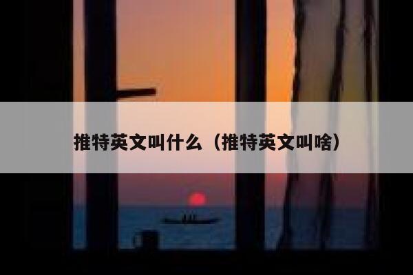 推特英文叫什么(推特英文叫啥) 第1张 推特英文叫什么(推特英文叫啥) 第1张