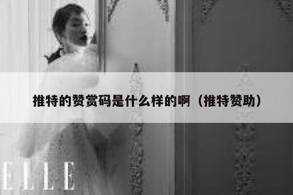 推特的赞赏码是什么样的啊(推特赞助) 第1张 推特的赞赏码是什么样的啊(推特赞助) 第1张