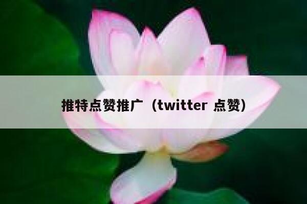 推特点赞推广(twitter 点赞) 第1张 推特点赞推广(twitter 点赞) 第1张