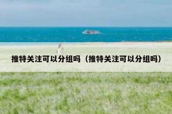 推特关注可以分组吗(推特关注可以分组吗) 第1张 推特关注可以分组吗(推特关注可以分组吗) 第1张