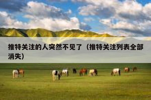 推特关注的人突然不见了（推特关注列表全部消失） 第1张
