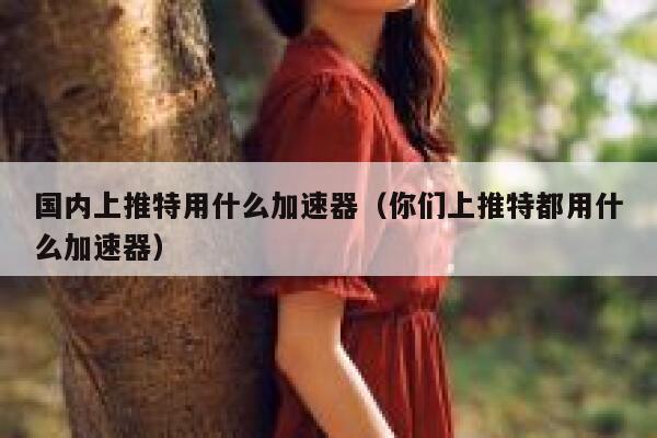 国内上推特用什么加速器（你们上推特都用什么加速器） 第1张