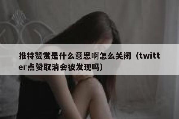 推特赞赏是什么意思啊怎么关闭（twitter点赞取消会被发现吗） 第1张