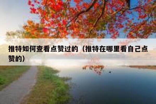 推特如何查看点赞过的(推特在哪里看自己点赞的) 第1张 推特如何查看点赞过的(推特在哪里看自己点赞的) 第1张