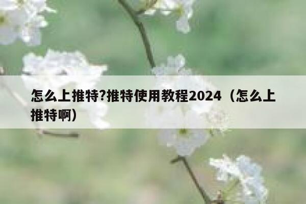 怎么上推特?推特使用教程2024(怎么上推特啊) 第1张 怎么上推特?推特使用教程2024(怎么上推特啊) 第1张