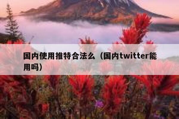 国内使用推特合法么(国内twitter能用吗) 第1张 国内使用推特合法么(国内twitter能用吗) 第1张
