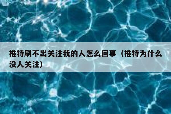 推特刷不出关注我的人怎么回事（推特为什么没人关注） 第1张