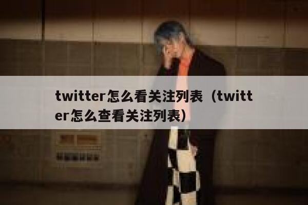 twitter怎么看关注列表(twitter怎么查看关注列表) 第1张 twitter怎么看关注列表(twitter怎么查看关注列表) 第1张