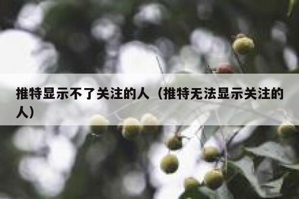 推特显示不了关注的人(推特无法显示关注的人) 第1张 推特显示不了关注的人(推特无法显示关注的人) 第1张