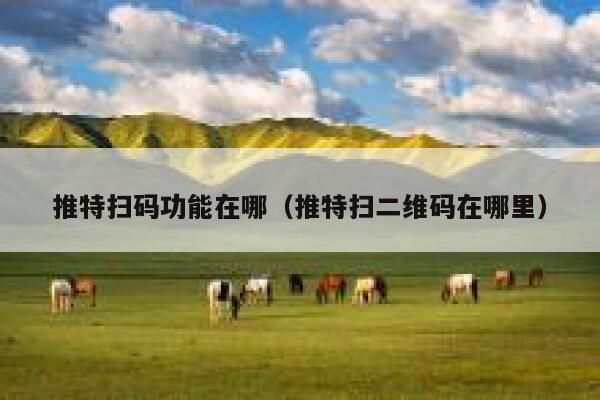 推特扫码功能在哪(推特扫二维码在哪里) 第1张 推特扫码功能在哪(推特扫二维码在哪里) 第1张