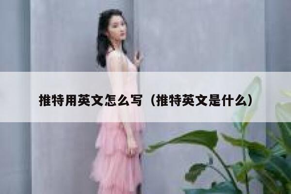 推特用英文怎么写(推特英文是什么) 第1张 推特用英文怎么写(推特英文是什么) 第1张