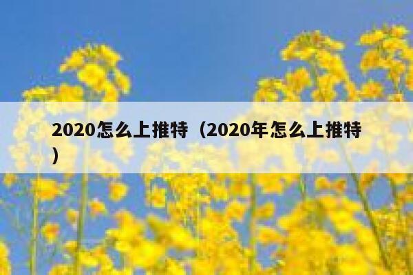 2020怎么上推特(2020年怎么上推特) 第1张 2020怎么上推特(2020年怎么上推特) 第1张