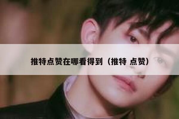 推特点赞在哪看得到（推特 点赞） 第1张