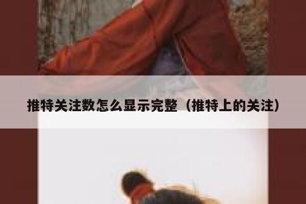 推特关注数怎么显示完整（推特上的关注） 第1张