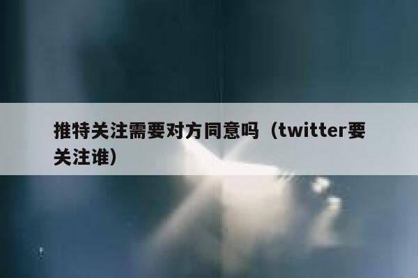 推特关注需要对方同意吗（twitter要关注谁） 第1张