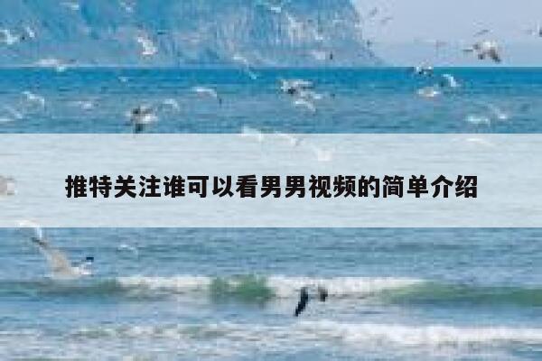 推特关注谁可以看男男视频的简单介绍 第1张