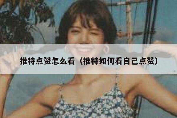 推特点赞怎么看（推特如何看自己点赞） 第1张