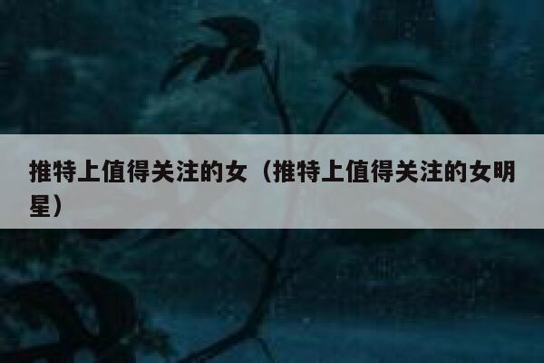 推特上值得关注的女（推特上值得关注的女明星） 第1张