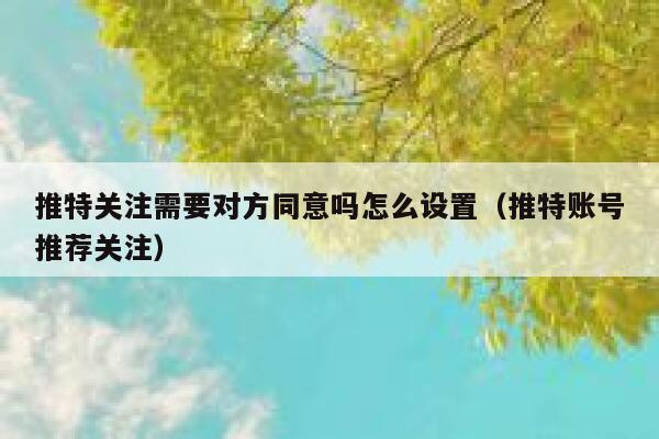 推特关注需要对方同意吗怎么设置（推特账号推荐关注） 第1张