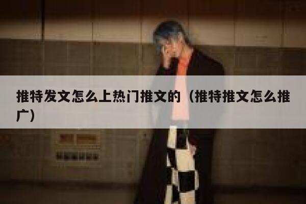 推特发文怎么上热门推文的（推特推文怎么推广） 第1张