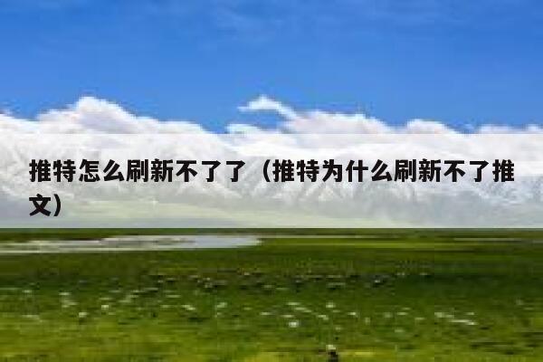 推特怎么刷新不了了（推特为什么刷新不了推文） 第1张
